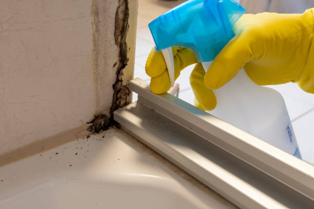 Best Crawl Space Mold Removal  in St Bonifacius, MN